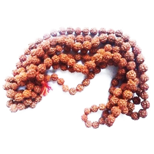 Picture of Free Shipping Rudraksha Mala Pack (10mm)