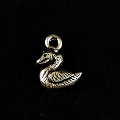Picture of Sterling Silver Charm