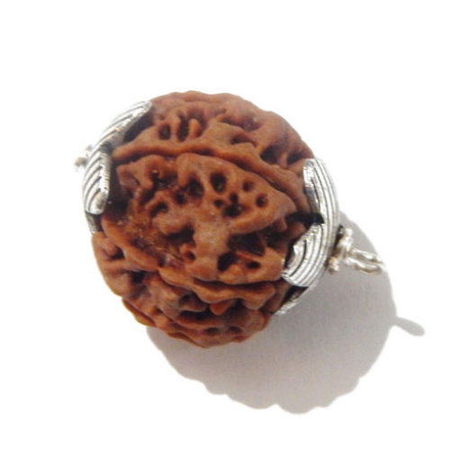 7 Face Nepali Rudraksha