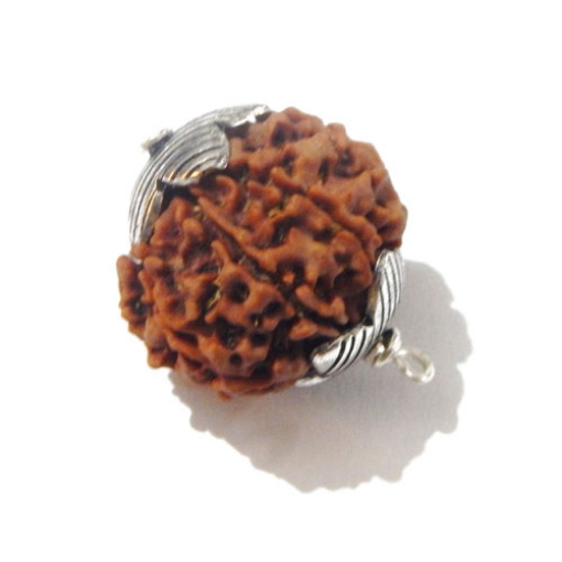 7 face rudraksha 