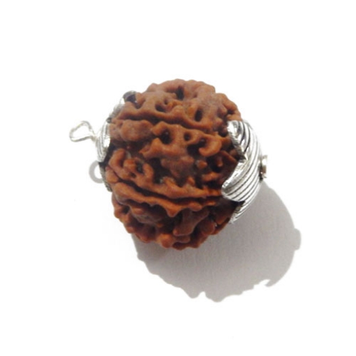 7 face rudraksha 