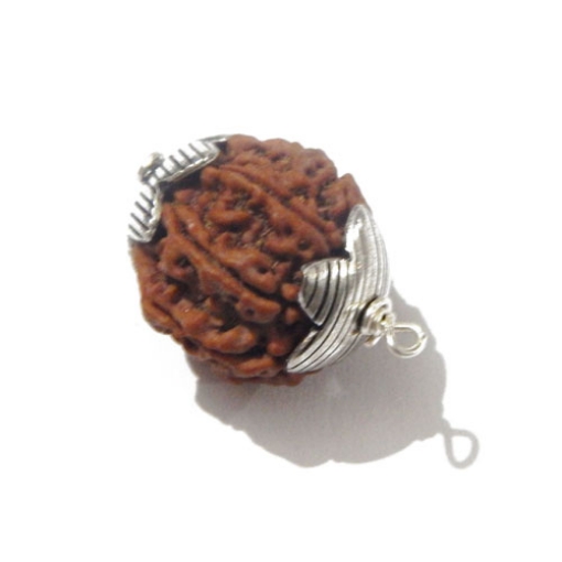 7 face rudraksha 