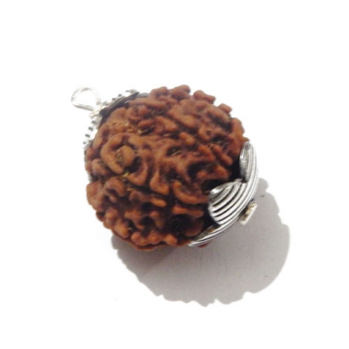 7 face rudraksha 