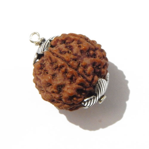 Six Face Rudraksha Pendant