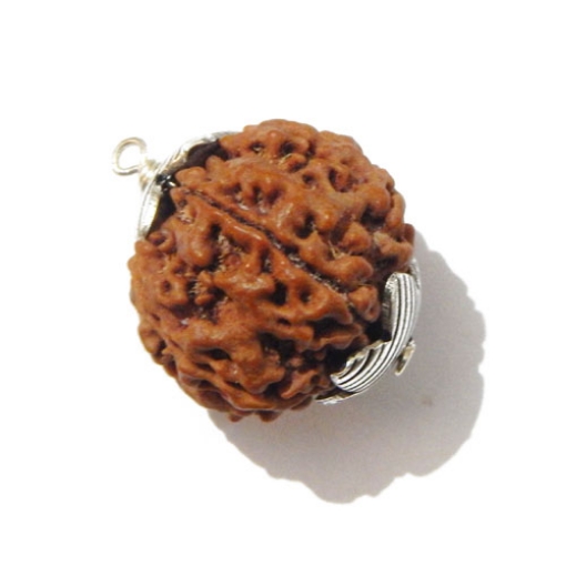 Six Face Rudraksha Pendant
