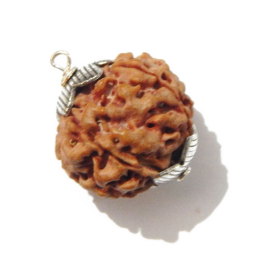 Six Face Rudraksha Pendant